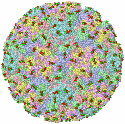 Image Biol. Unit 1 - sites