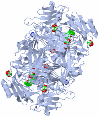 Image Biological Unit 1