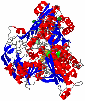 Image Asym./Biol. Unit