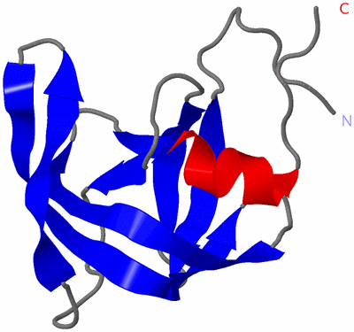 Image Asymmetric Unit