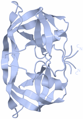 Image Biological Unit 1