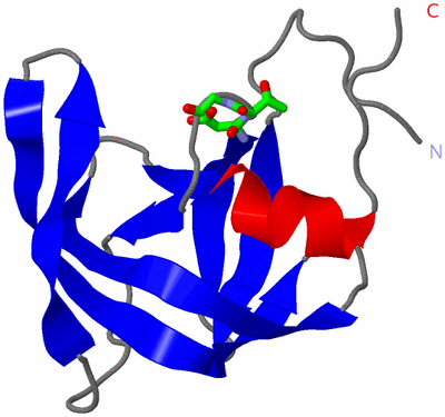 Image Asym. Unit - sites