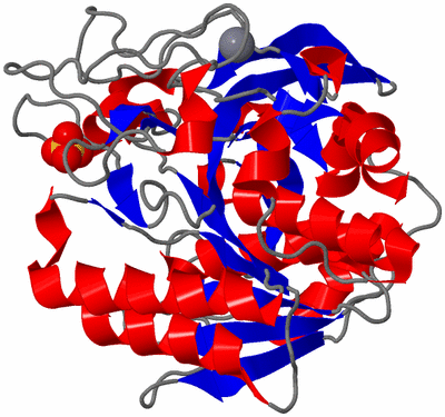 Image Asym./Biol. Unit