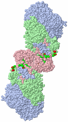 Image Biological Unit 3