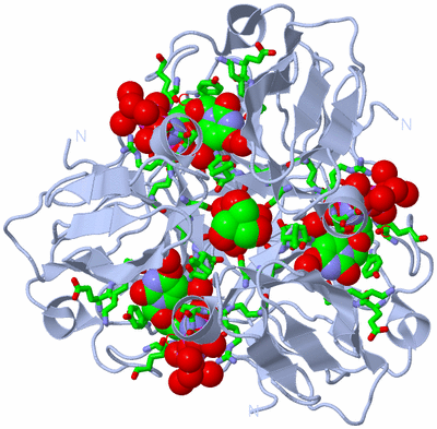 Image Biol. Unit 1 - sites