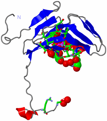 Image Asym. Unit - sites