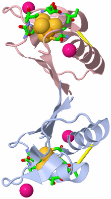 Image Asym./Biol. Unit - sites