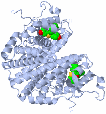 Image Biological Unit 1