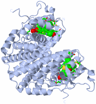 Image Biol. Unit 1 - sites