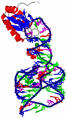 Image Asym./Biol. Unit