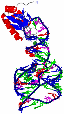 Image Asym./Biol. Unit - sites