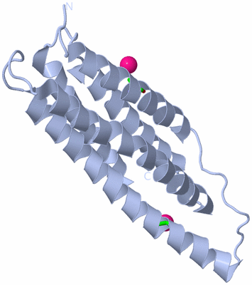 Image Biol. Unit 1 - sites