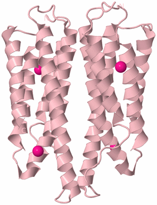 Image Biological Unit 4