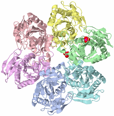 Image Asym./Biol. Unit