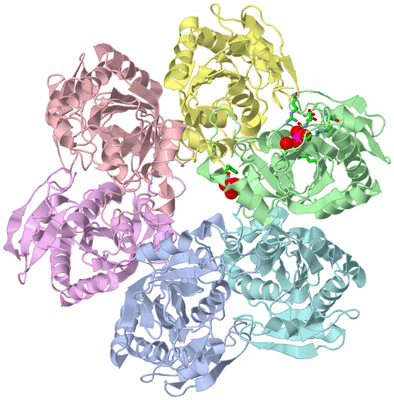 Image Asym./Biol. Unit - sites