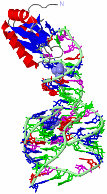 Image Asym./Biol. Unit