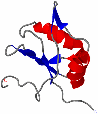 Image NMR Structure - model 1