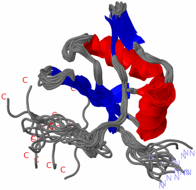 Image NMR Structure - all models