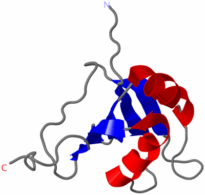 Image NMR Structure - model 1