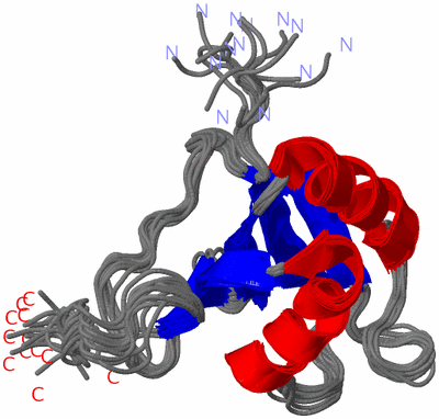 Image NMR Structure - all models