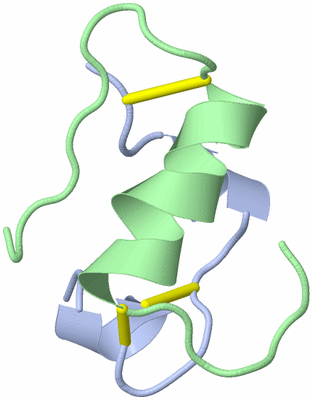 Image NMR Structure - model 1