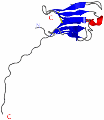 Image Asymmetric Unit