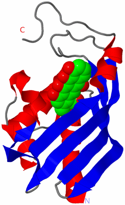 Image Asymmetric Unit