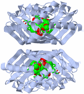 Image Biol. Unit 1 - sites