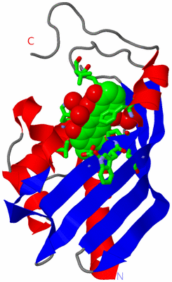 Image Asym. Unit - sites