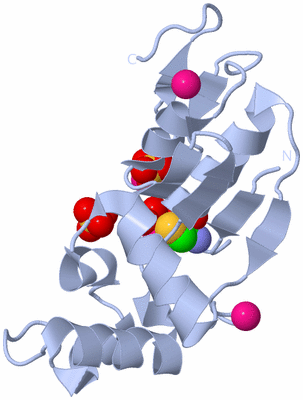 Image Biological Unit 1