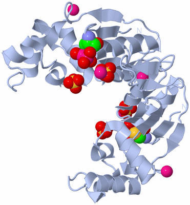 Image Biological Unit 2