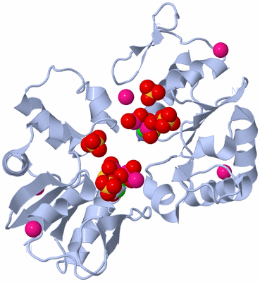 Image Biological Unit 3