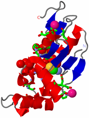 Image Asym. Unit - sites