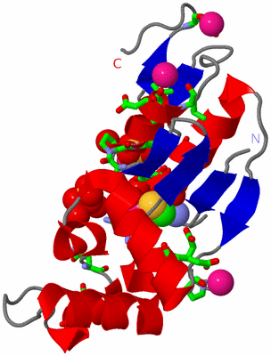 Image Asym./Biol. Unit - sites