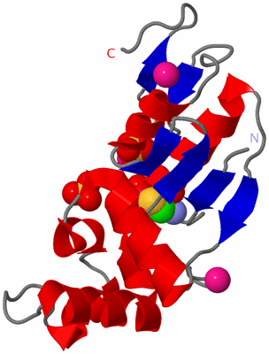 Image Asym./Biol. Unit