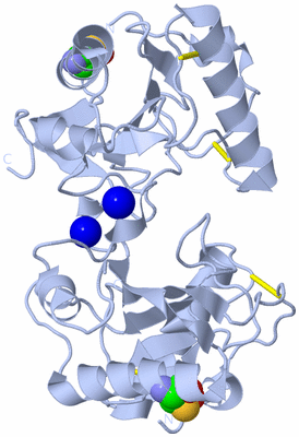 Image Biological Unit 2