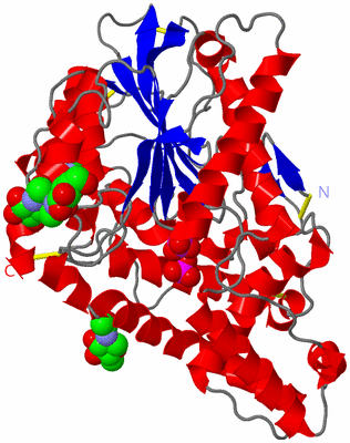 Image Asym./Biol. Unit