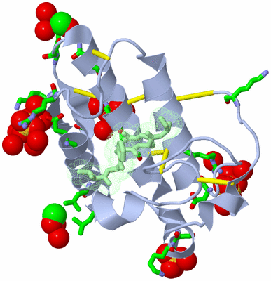 Image Asym./Biol. Unit - sites