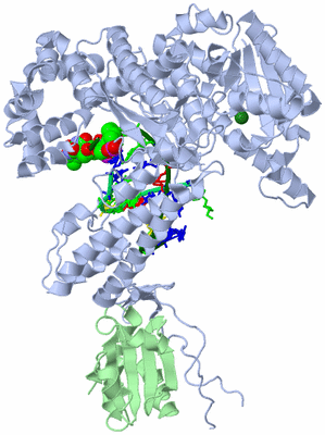 Image Asym./Biol. Unit