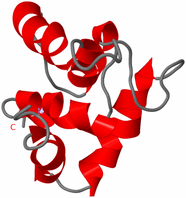 Image NMR Structure - model 1