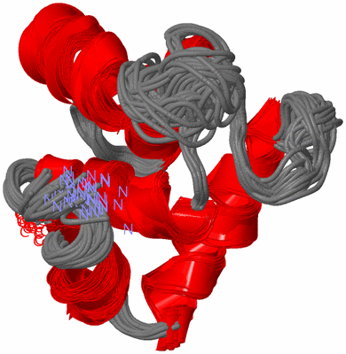 Image NMR Structure - all models