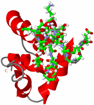 Image NMR Structure - model 1, sites