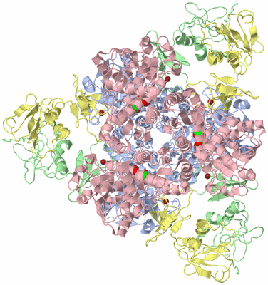 Image Biological Unit 1