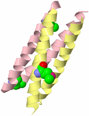 Image Biological Unit 2