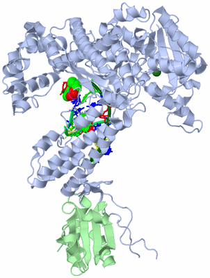 Image Asym./Biol. Unit