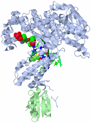 Image Biological Unit 1