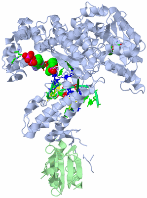 Image Biol. Unit 1 - sites