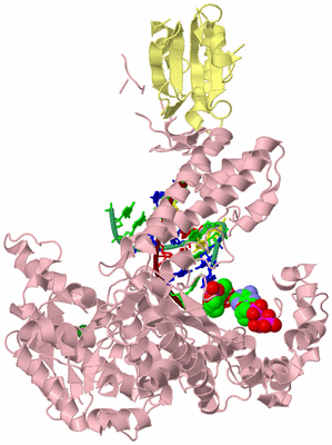 Image Biological Unit 2