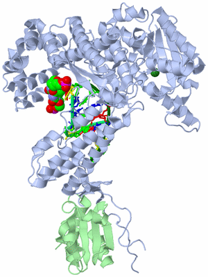 Image Asym./Biol. Unit