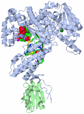 Image Asym./Biol. Unit